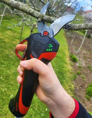 INFACO ELECTROCOUP F3015 tijeras poda de segunda mano por 800 EUR en  Malpica de Bergantiños en WALLAPOP