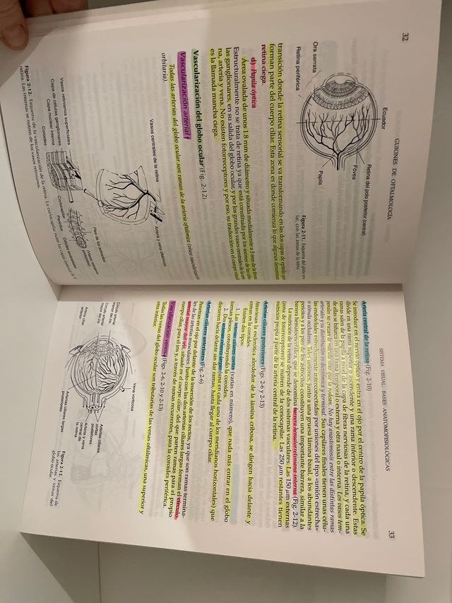 Guiones de oftalmología