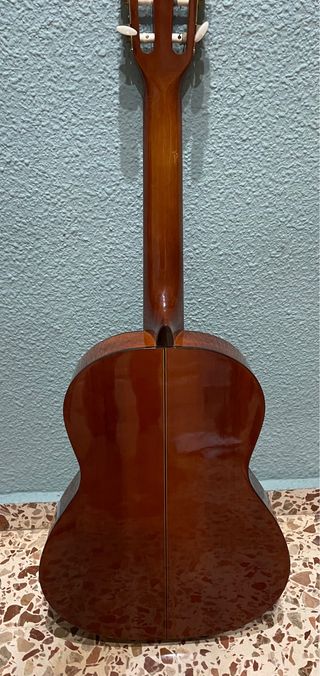 Guitarrra semiprofesional modelo \