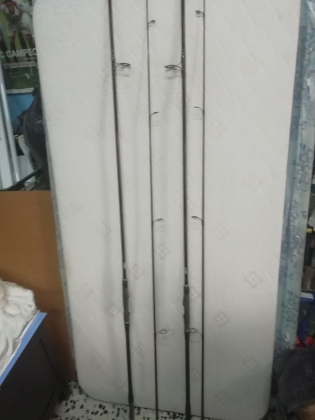 2 caña de carpa carbono