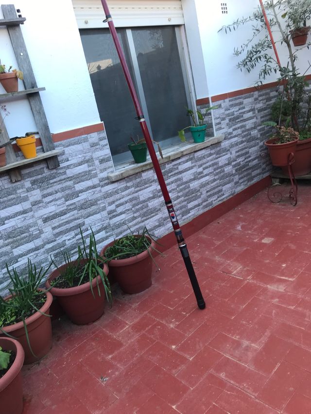 CAÑA DE MAR, marca intermundial 5,10 mts 