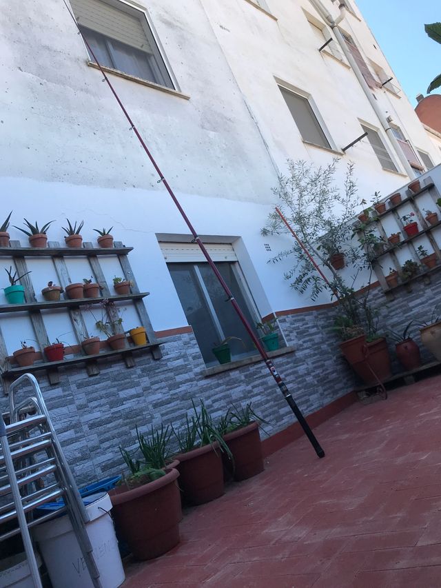 CAÑA DE MAR, marca intermundial 5,10 mts 