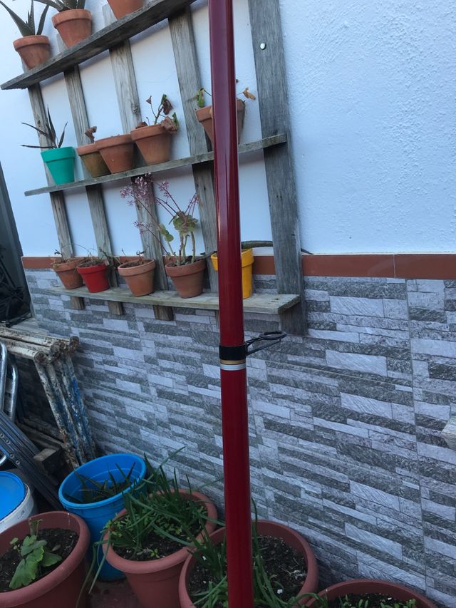 CAÑA DE MAR, marca intermundial 5,10 mts 