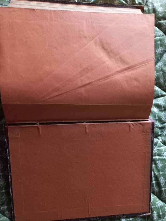 Blanco y negro colección 1912