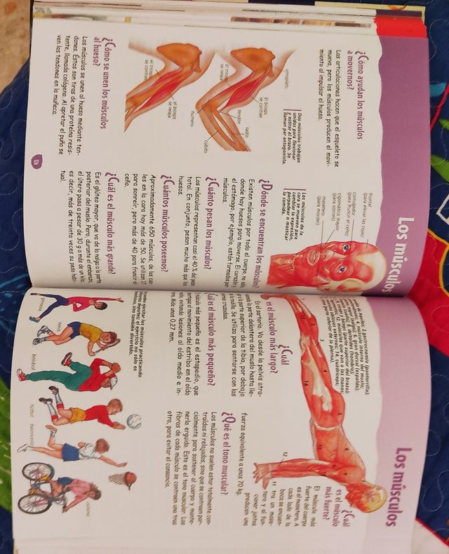 Libro "el porque de las cosas"