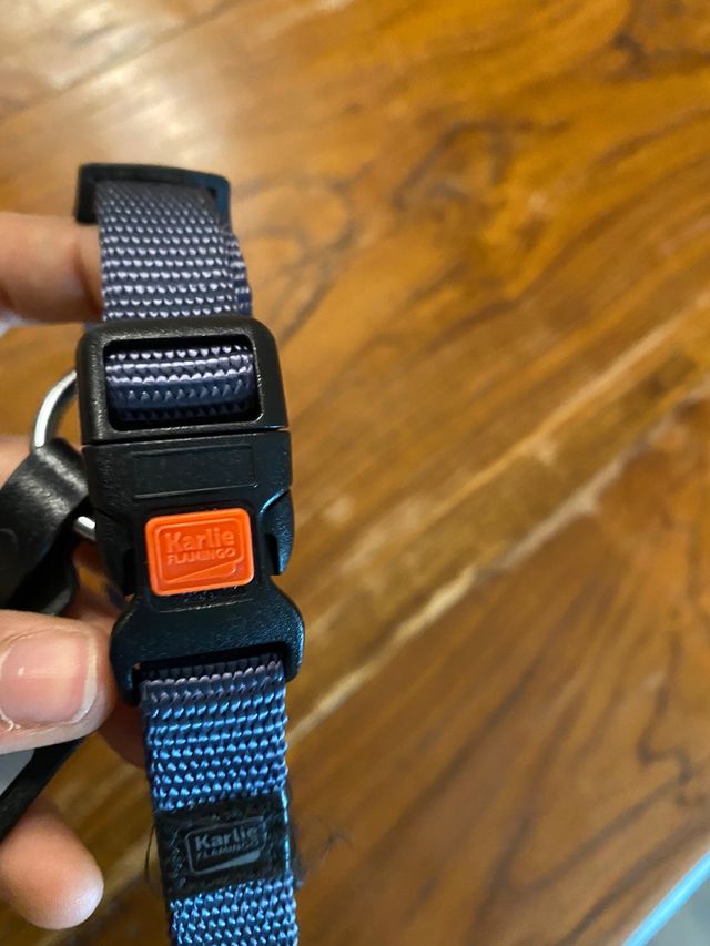 Accessori cane NUOVI 