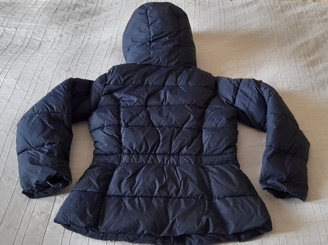 Chaqueta Brotes T 12