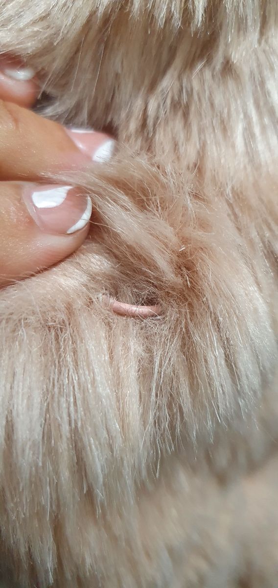 abrigo marca oasis boda fiesta evento