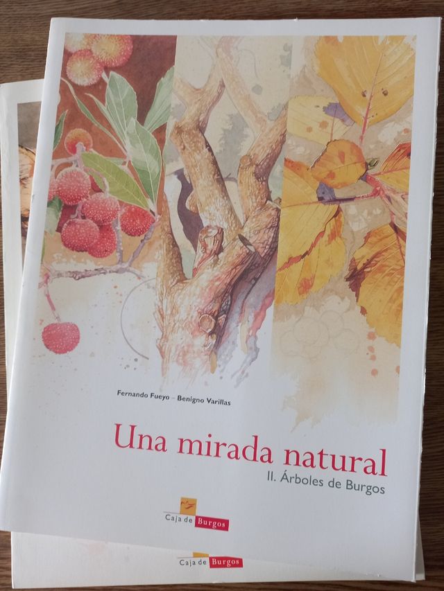 Libros Burgos una mirada natural