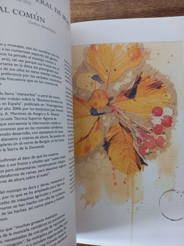 Libros Burgos una mirada natural