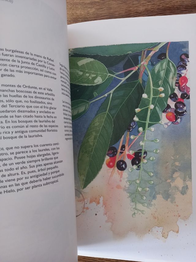 Libros Burgos una mirada natural