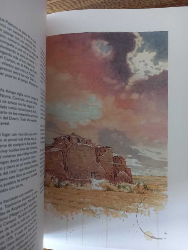 Libros Burgos una mirada natural