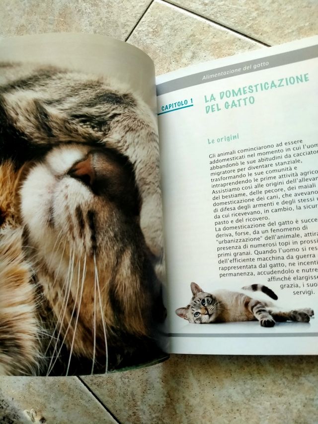 libro l' alimentazione del tuo gatto
