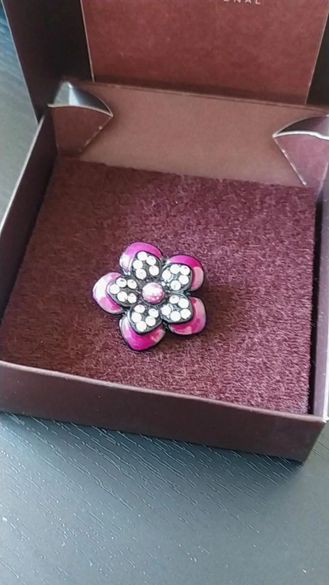 BROCHE DE AGUJA 🌺