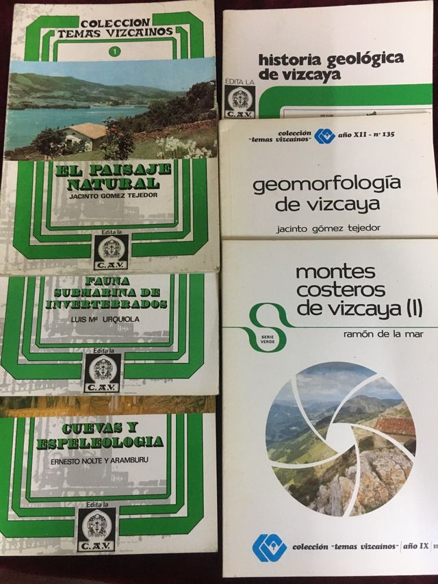 31 tomos colección de temas vizcainos. 1975