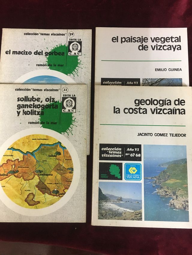 31 tomos colección de temas vizcainos. 1975