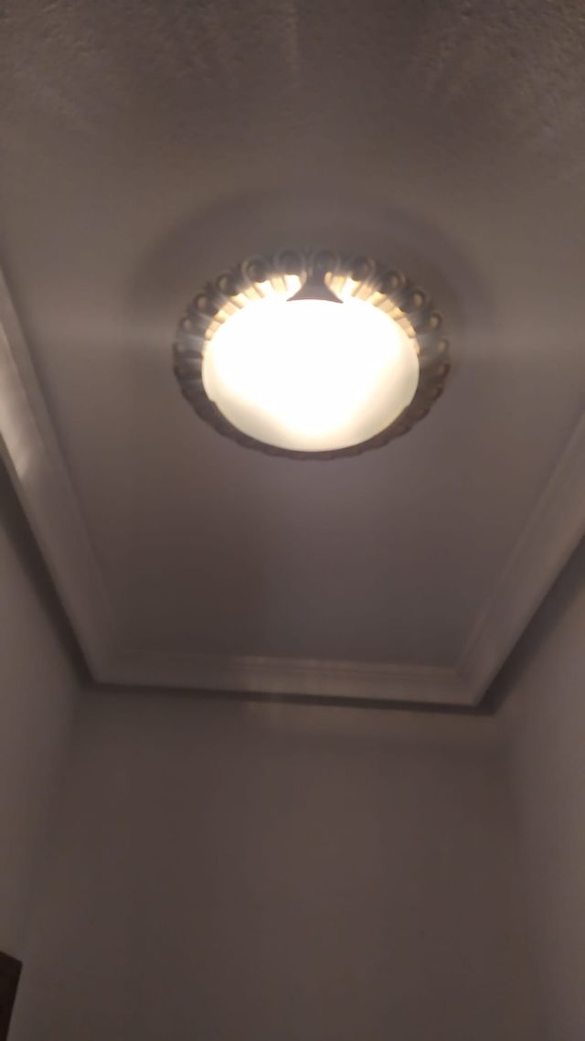 Pareja de plafones de color dorado y verde