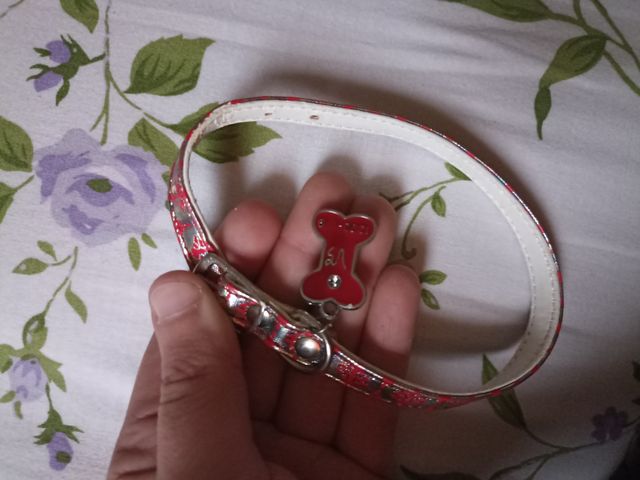 Collar perro