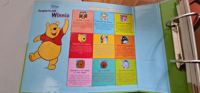FICHAS DESPIERTAS CON WINNIE