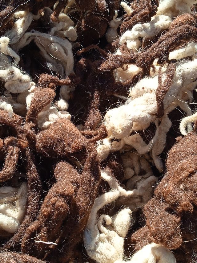Lana natural de oveja