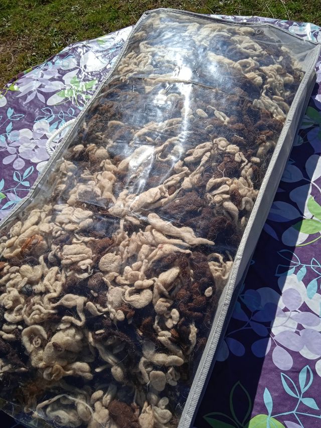 Lana natural de oveja