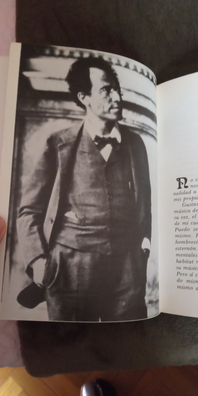 LIBRO GUSTAN MAHLER O EL CORAZÓN ABRUMADO