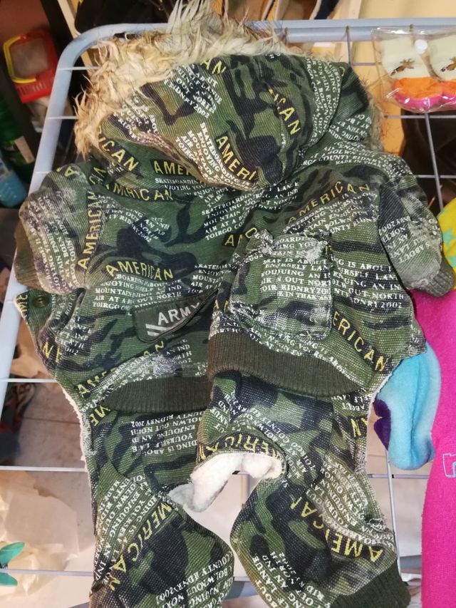 Trajes para perros
