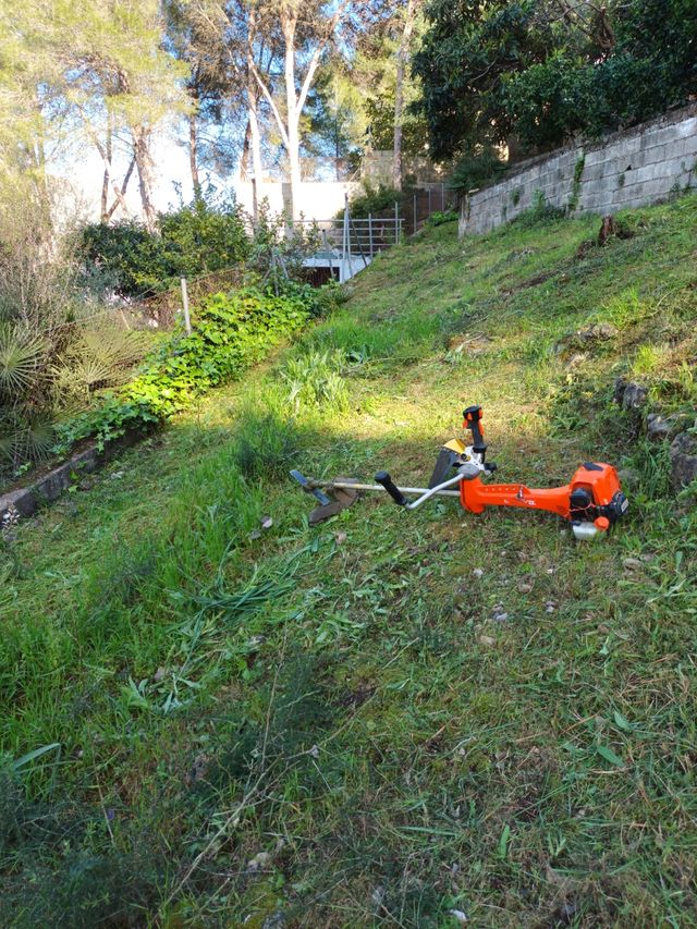 desbroce y poda