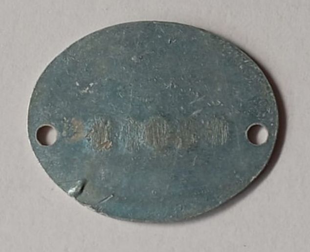 Antigua Chapa Lucha Antirrábica Sevilla 1958