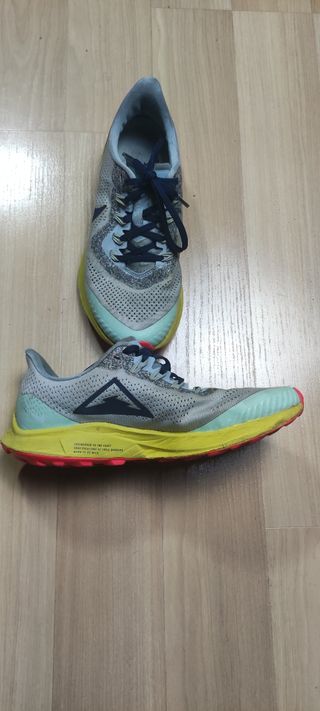 Nike Pegasus 36 trail talla 37.5 de segunda mano por 22 EUR en Alcázar de  San Juan en WALLAPOP