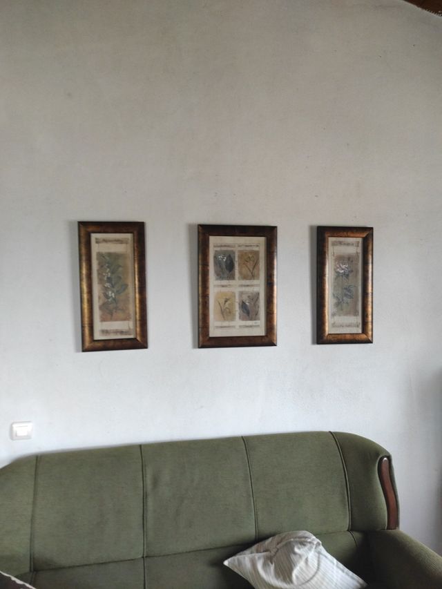 cuadros con motivo de flores