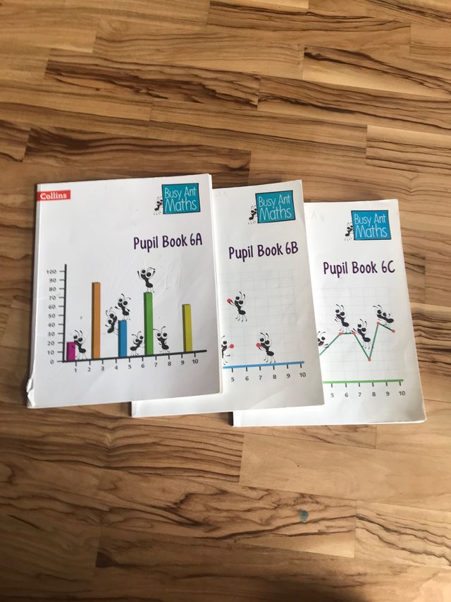  3 libros de mates en inglés “Busy ants maths”