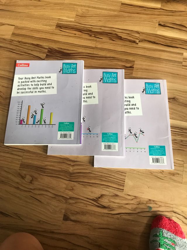  3 libros de mates en inglés “Busy ants maths”