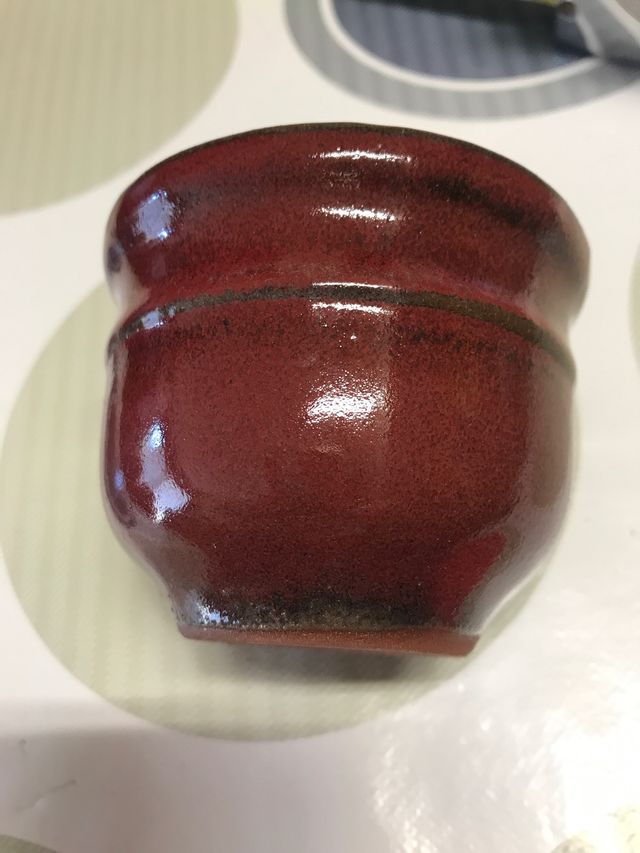 Maceta para pequeño bonsai