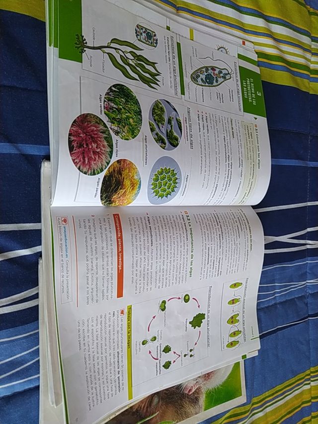Biología y Geología,1°ESO