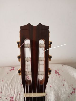 Guitarra tomas leal año 1990 de segunda mano por 650 EUR en Madrid en  WALLAPOP