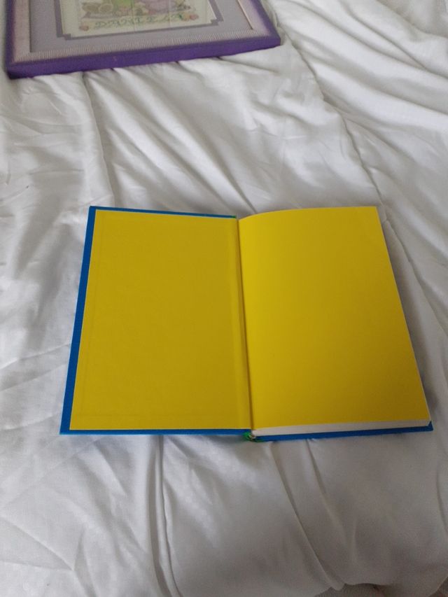 Diario de Greg 12 (volando voy)