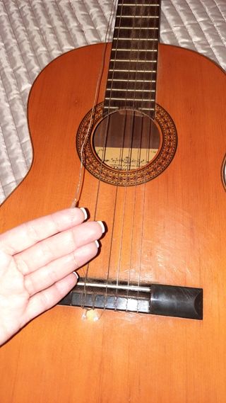 Raimundo 106 1970's | Reverb