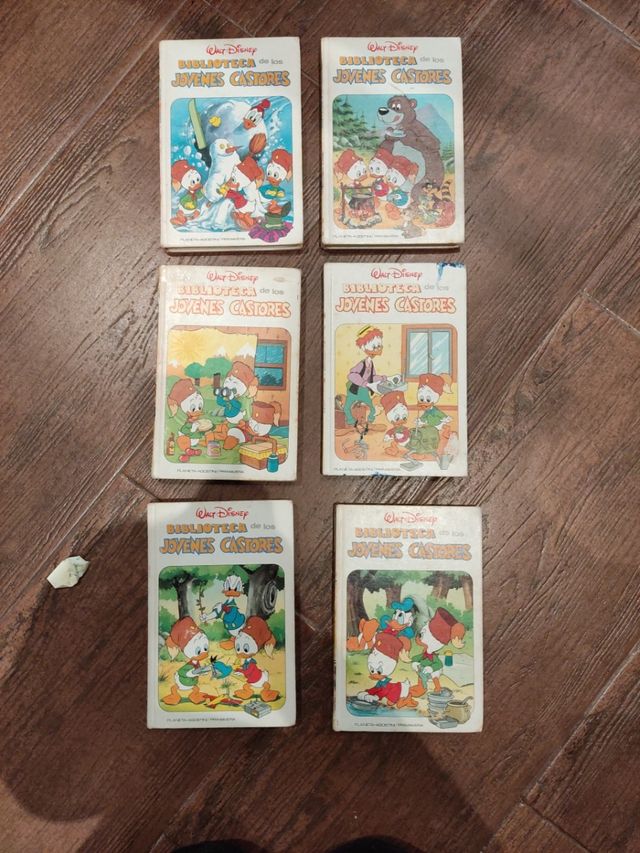 Biblioteca Young Beavers