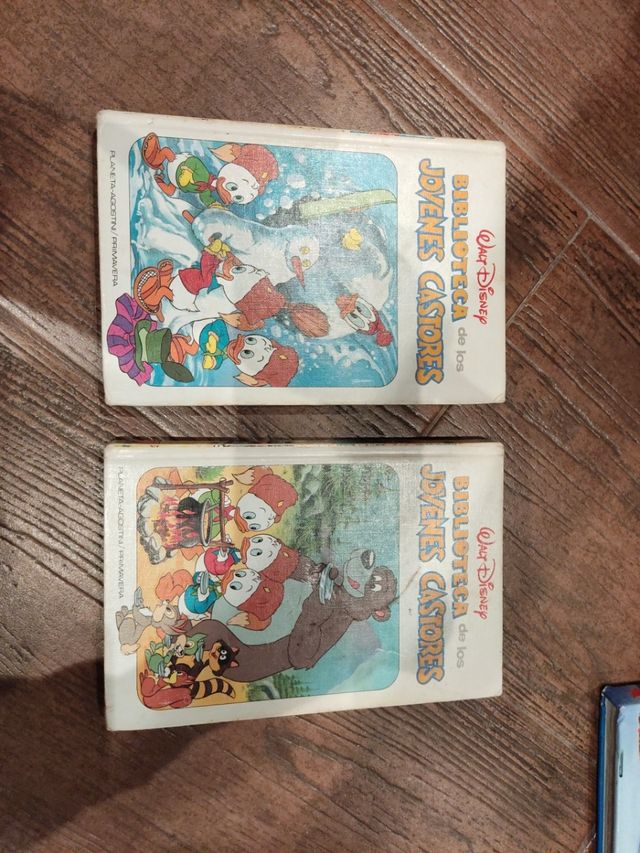 Biblioteca Young Beavers