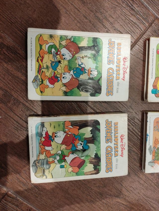 Biblioteca Young Beavers