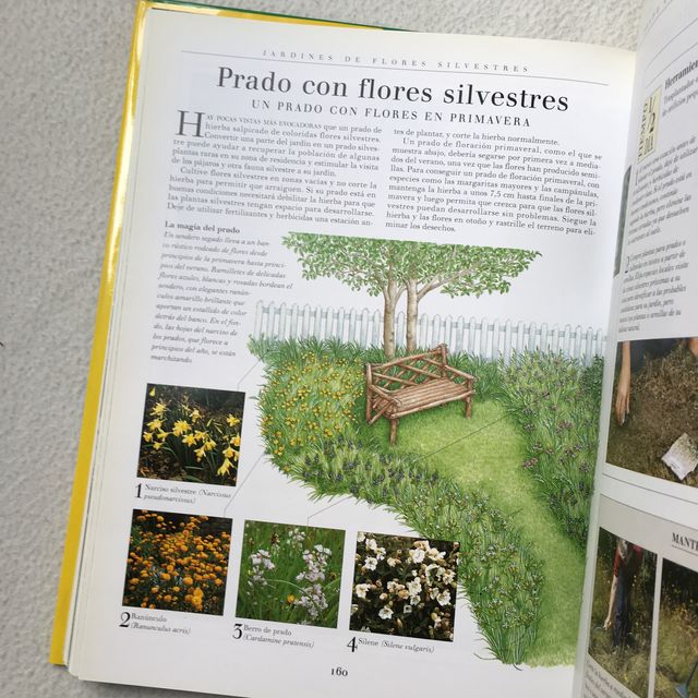 Jardinería Fácil - Susanna Longley (1998)