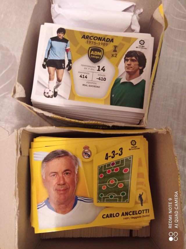 este 21 22 miro tus faltas lotes economicos