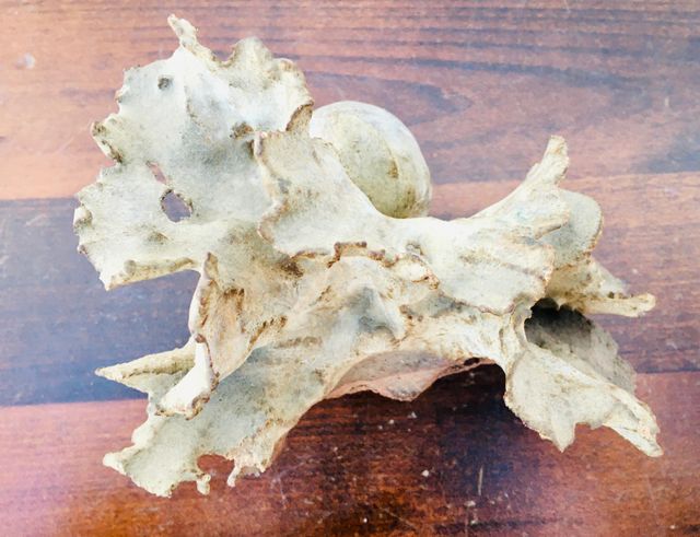 FIGURA PALOMA DE TERRACOTA DE DISEÑO