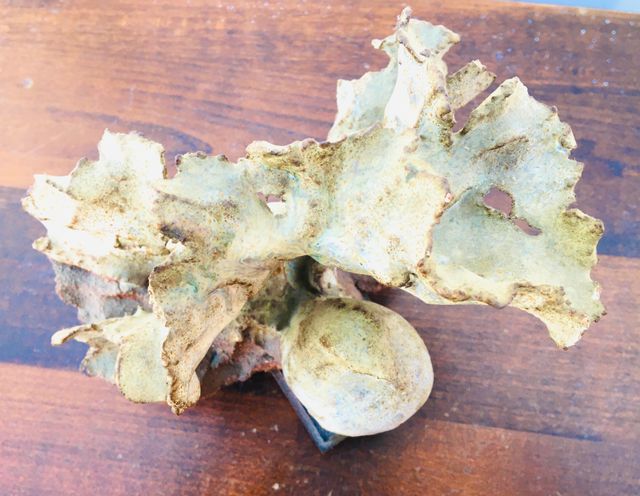 FIGURA PALOMA DE TERRACOTA DE DISEÑO