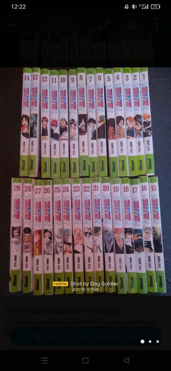 Bleach Manga Shonen