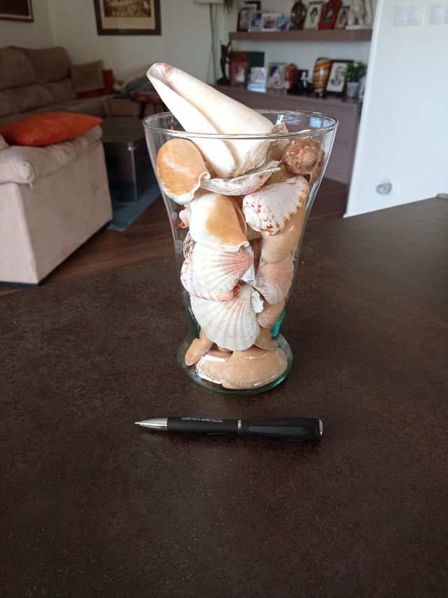 Jarrón Cristal con caracolas y conchas