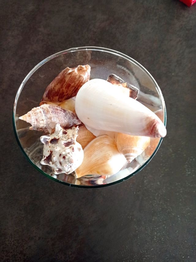 Jarrón Cristal con caracolas y conchas