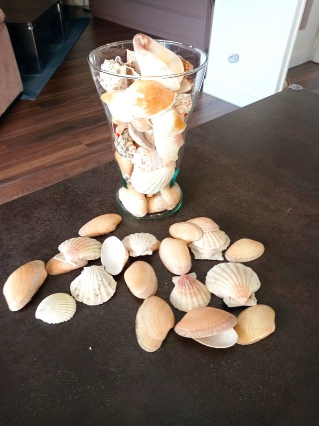 Jarrón Cristal con caracolas y conchas