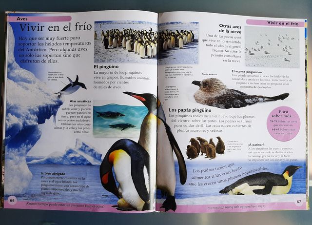 Enciclopedia de los animales dirigida a niños